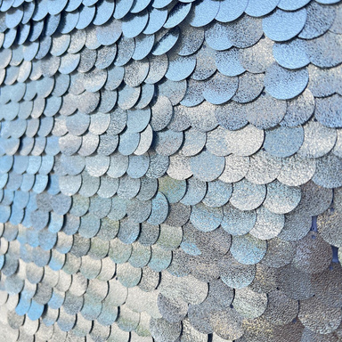 Silver Sequin